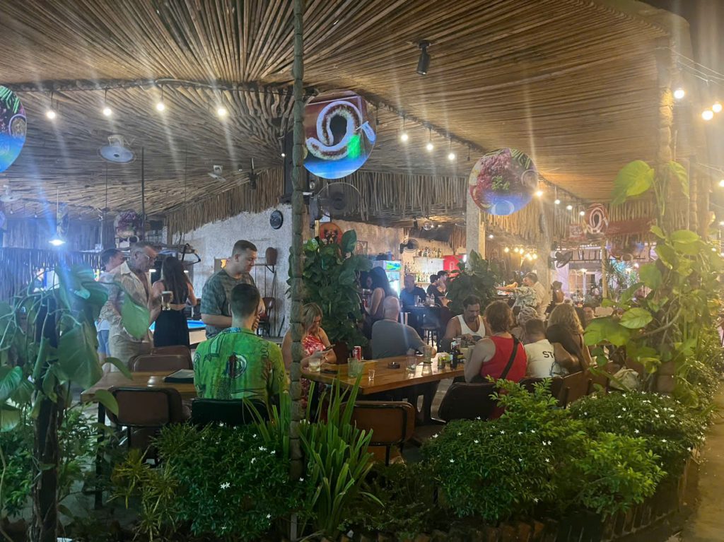 Happy Bear - where bites meet breezy nights in perfect harmony